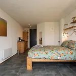 Johanneshoeve - De Mooiste Plek Op Texel