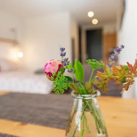 Casa de hóspedes Johanneshoeve - De Mooiste Plek Op Texel Den Hoorn (North Holland)