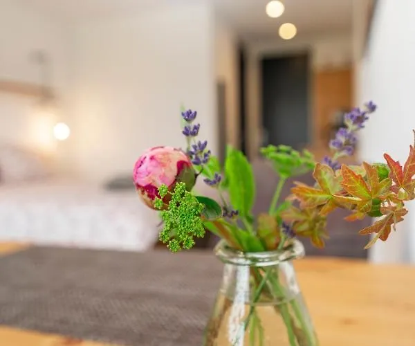 Gasthuis Johanneshoeve - De Mooiste Plek Op Texel Den Hoorn (North Holland)