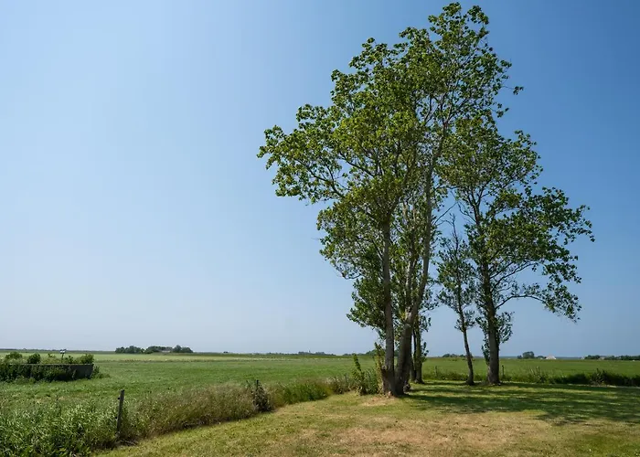 Gasthuis Johanneshoeve - De Mooiste Plek Op Texel