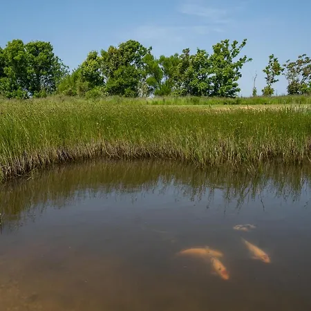 Johanneshoeve - De Mooiste Plek Op Texel Гостевой дом
