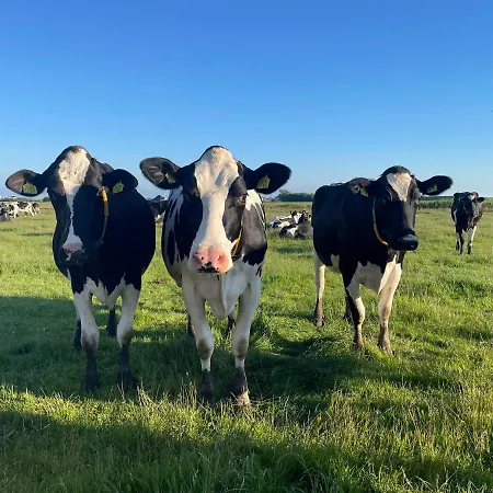 Johanneshoeve - De Mooiste Plek Op Texel