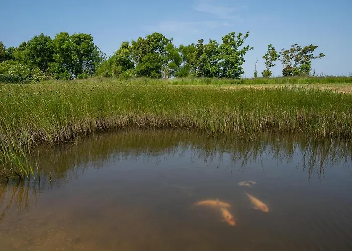Johanneshoeve - De Mooiste Plek Op Texel Gasthof